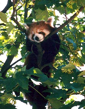 s4 copy.jpg (47872 Byte)